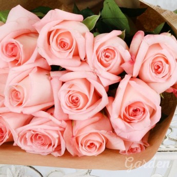 15 нежно-розовых роз в крафте
